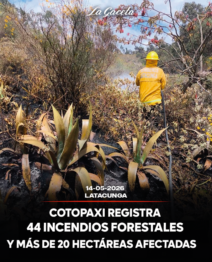 Cotopaxi registra 44 incendios forestales y más de 20 hectáreas afectadas
