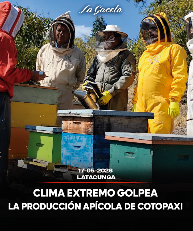 Clima extremo golpea la producción apícola en Cotopaxi