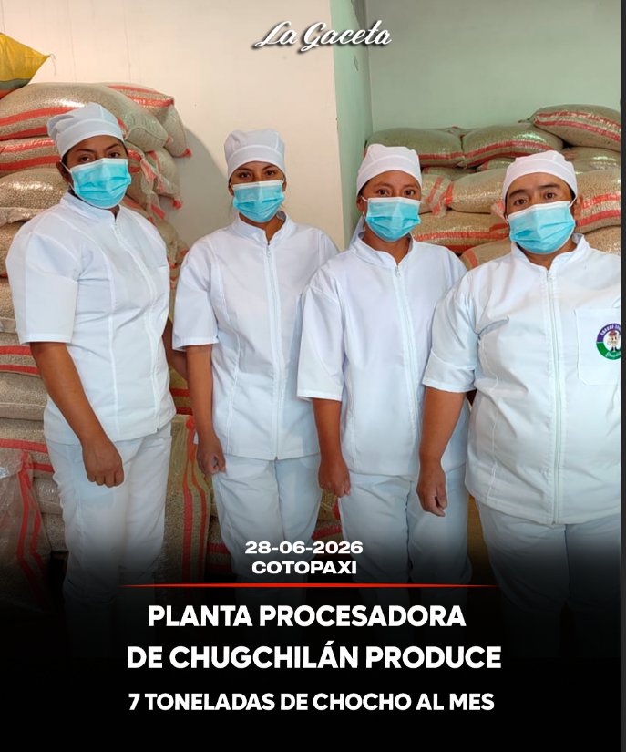 Planta procesadora de Chugchilán produce 7 toneladas de chocho al mes