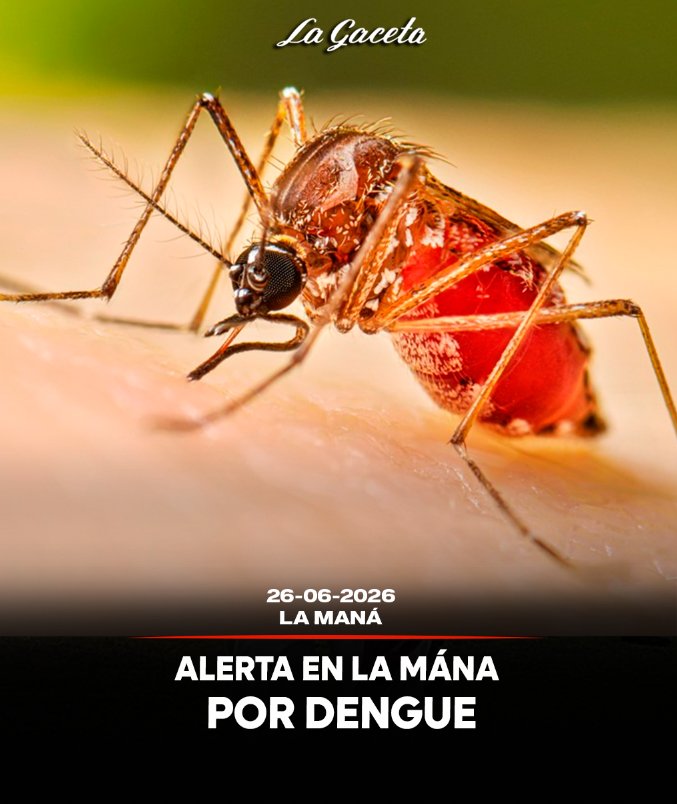 Alerta en La Maná por Dengue