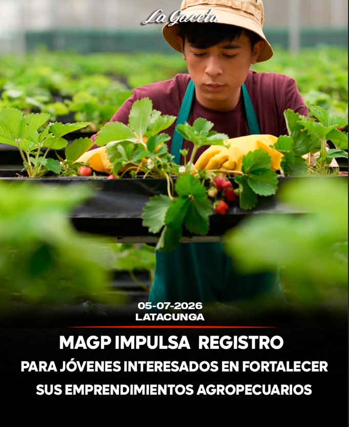 MAGP impulsa registro para jóvenes rurales interesados en fortalecer sus emprendimientos agropecuarios