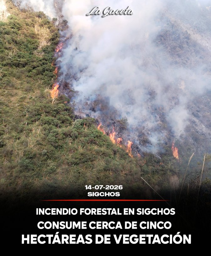 Incendio forestal en Sigchos consume cerca de cinco hectáreas de vegetación