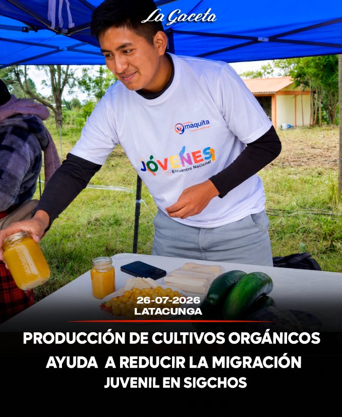 Producción de cultivos orgánicos ayuda a reducir la migración juvenil en Sigchos