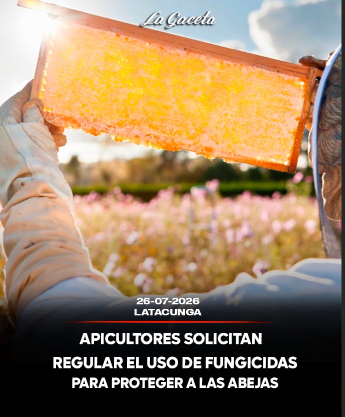 Apicultores solicitan regular el uso de fungicidas para proteger a las abejas