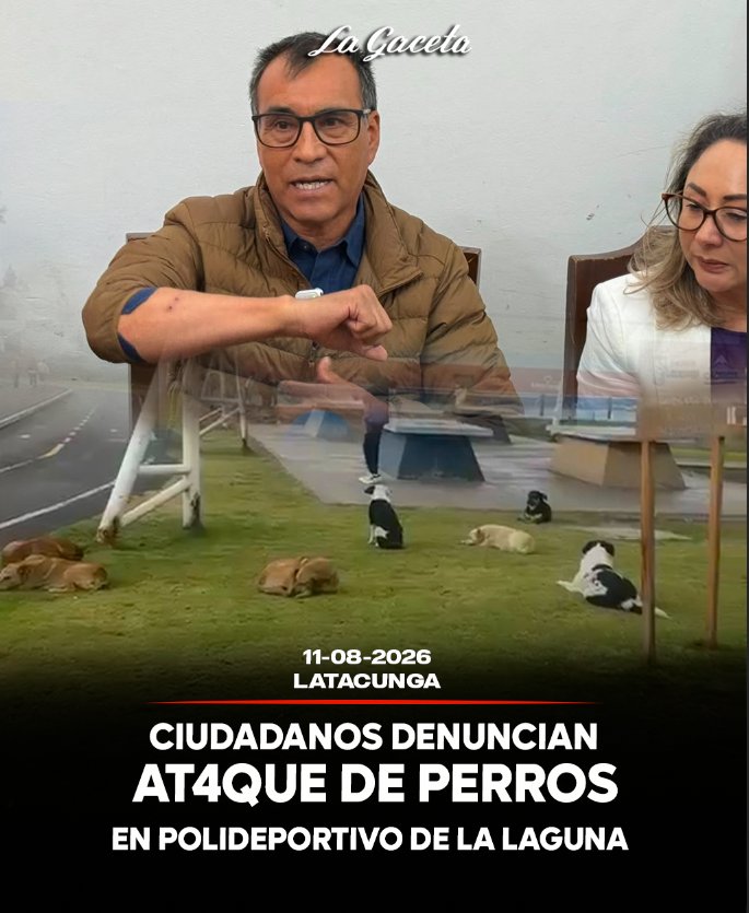 Ciudadanos denuncian ataques de perros en el polideportivo La Laguna