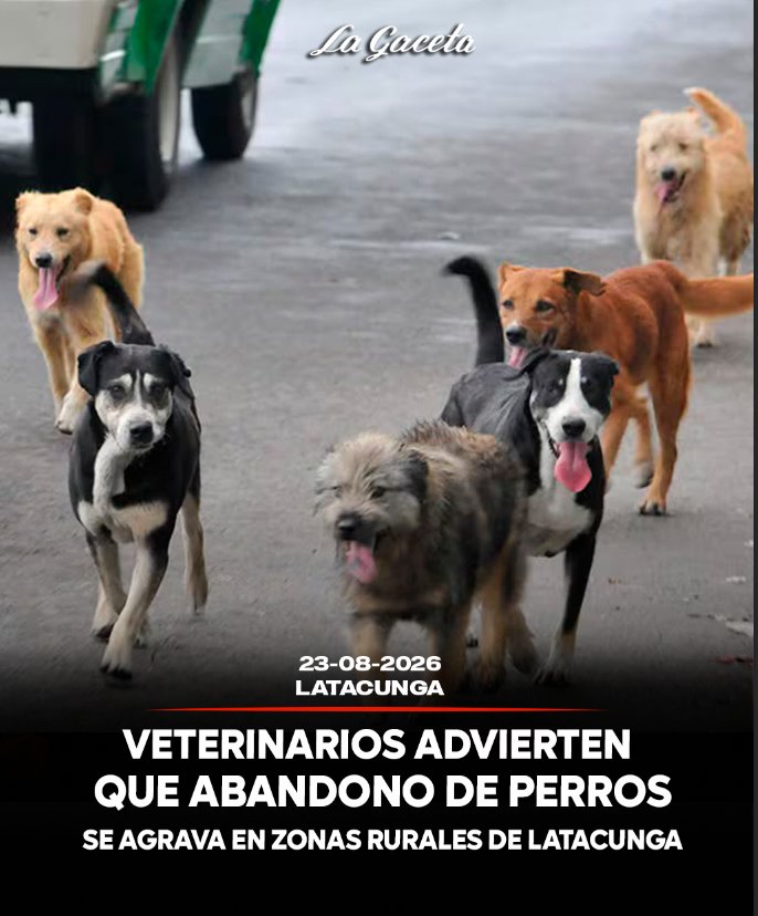 Veterinarios advierten que abandono de perros se agrava en zonas rurales de Latacunga