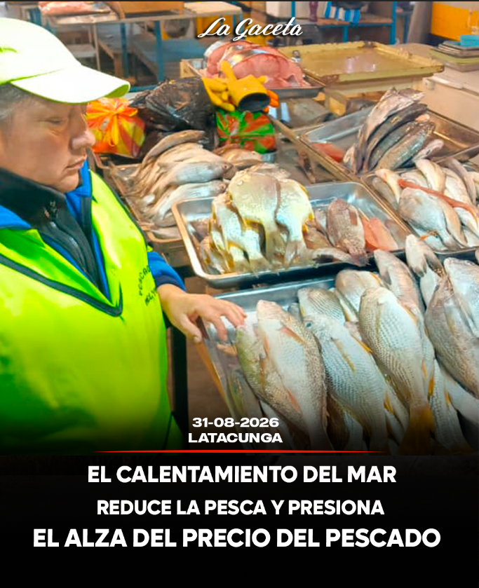 El calentamiento del mar reduce la pesca y presiona al alza el precio del pescado