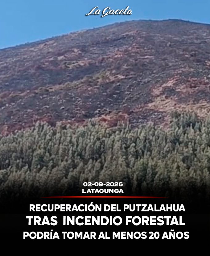 Recuperación del Putzalahua tras incendio podría tomar al menos 20 años