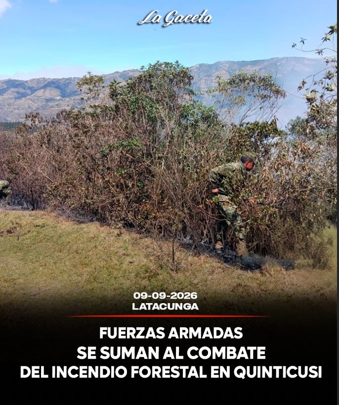 Fuerzas Armadas se suman al combate del incendio forestal en Quinticusi