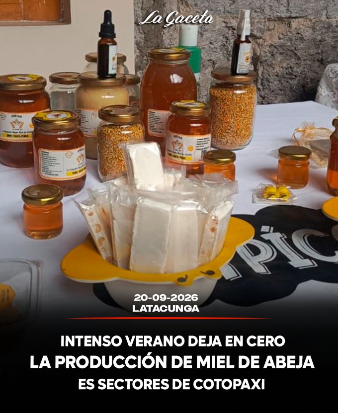 Intenso verano deja en cero la producción de miel de abeja de Cotopaxi