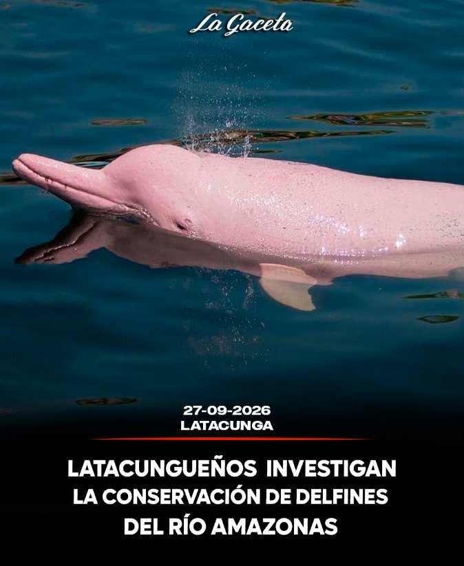 Latacungueños investigan la conservación de delfines de río en la Amazonía