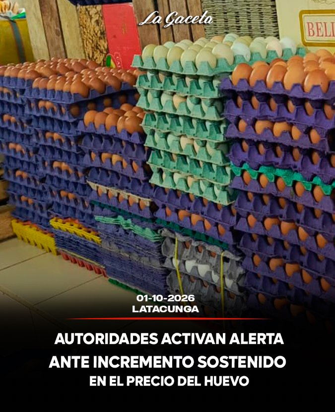 Autoridades activan alerta ante incremento sostenido en el precio del huevo