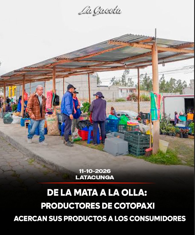 De la Mata a la Olla: productores de Cotopaxi acercan sus productos a los consumidores