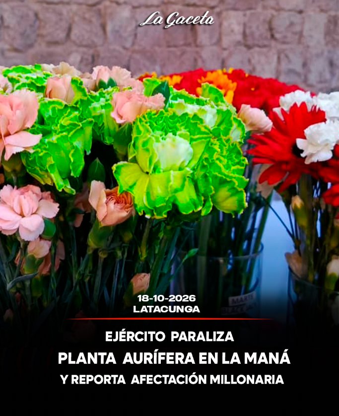 Exportación de claveles aumenta por temporada de Todos los Santos