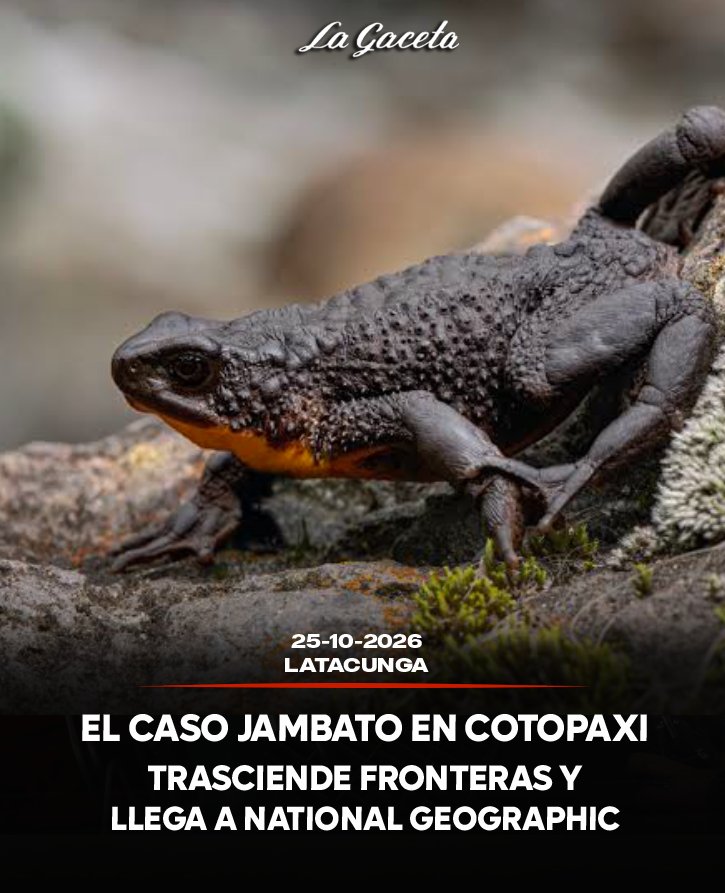 El caso del Jambato en Cotopaxi trasciende fronteras y llega a National Geographic